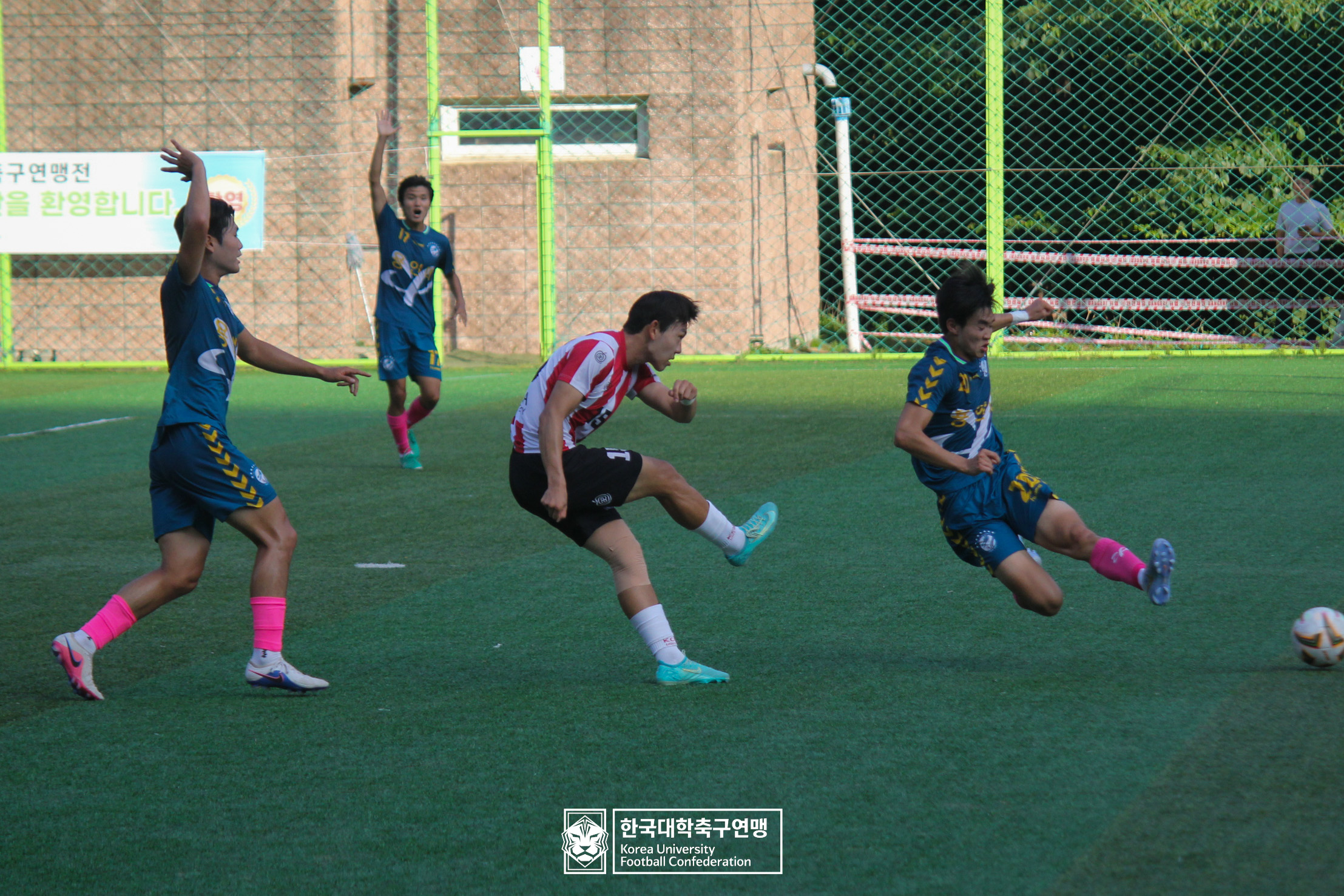 제62회 추계대학축구연맹전 백두대간기 본선 8강 고려대 vs 용인대 11